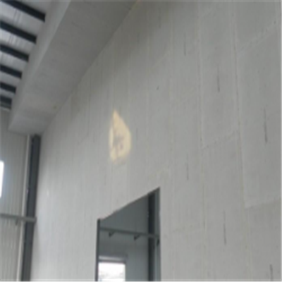 天津新型建筑材料掺多种工业废渣的ALC|ACC|FPS模块板材轻质隔墙板